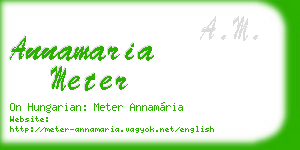 annamaria meter business card